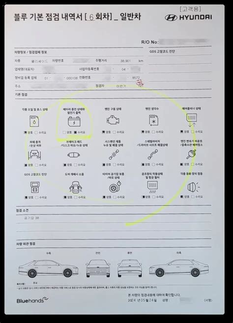 블루핸즈 등급